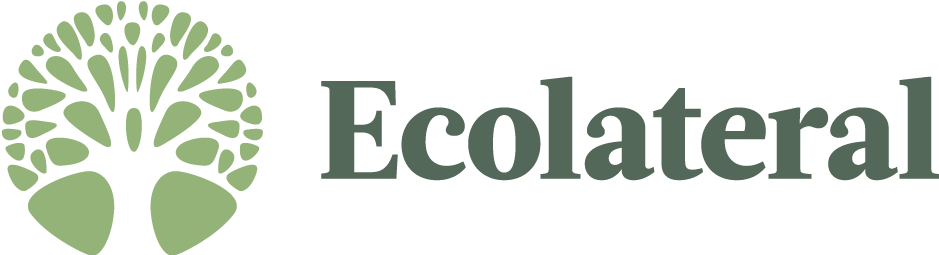 Ecolateral Eco Stores
