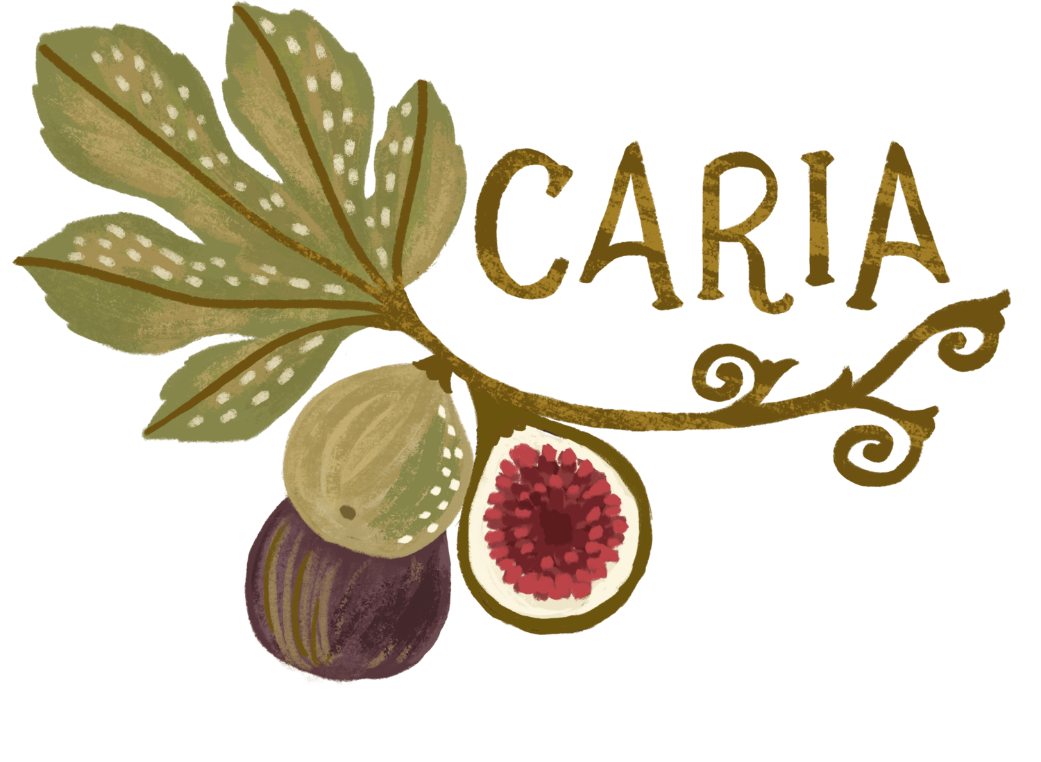 Fig of Caria Free Shipping Coupon Code