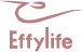 Get More Coupon Codes And Deals At EFFYLIFE
