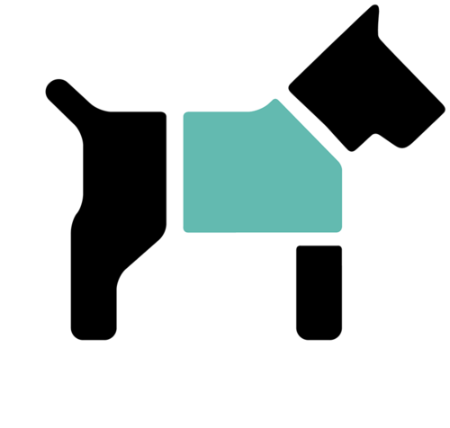 K9 Wear