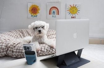 moft laptop stand review