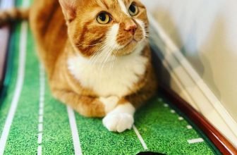 perfect practice putting mat review