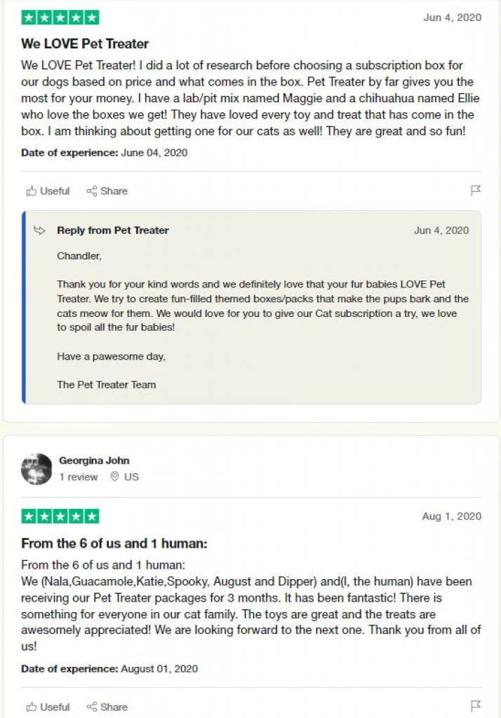 Pet Treater Cat Box Review: 5 Best Ways To Use Cat Treats Effectively 5 pet treater cat box review