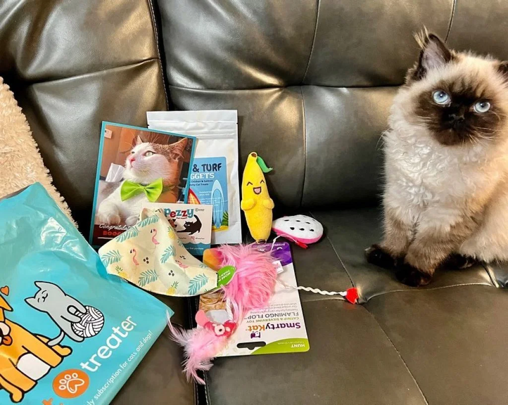 Pet Treater Cat Box Review: 5 Best Ways To Use Cat Treats Effectively 2 pet treater cat box review