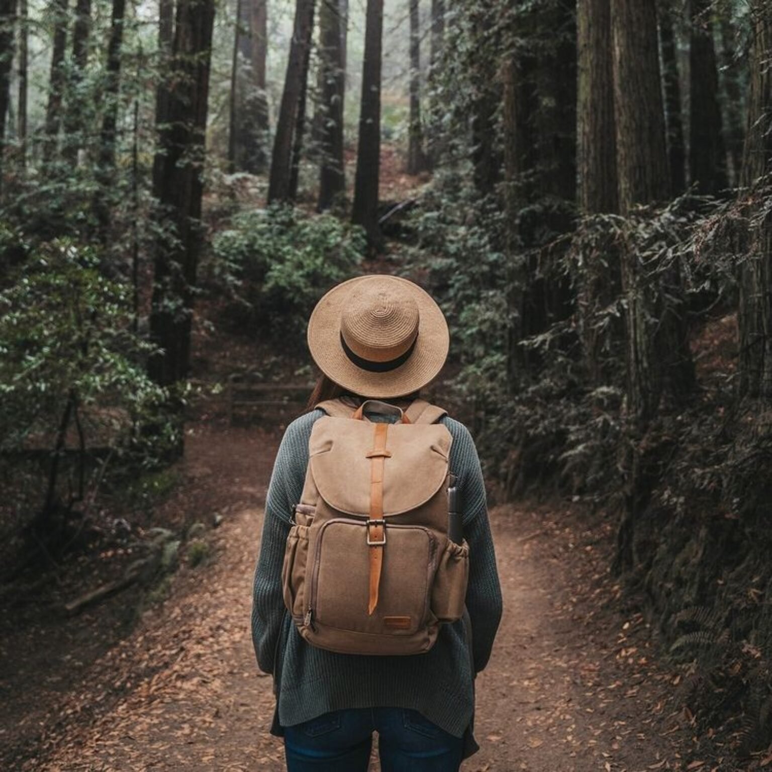 Bagsmart Camera Backpack Review A Comprehensive Guide