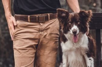 slidebelts reviews