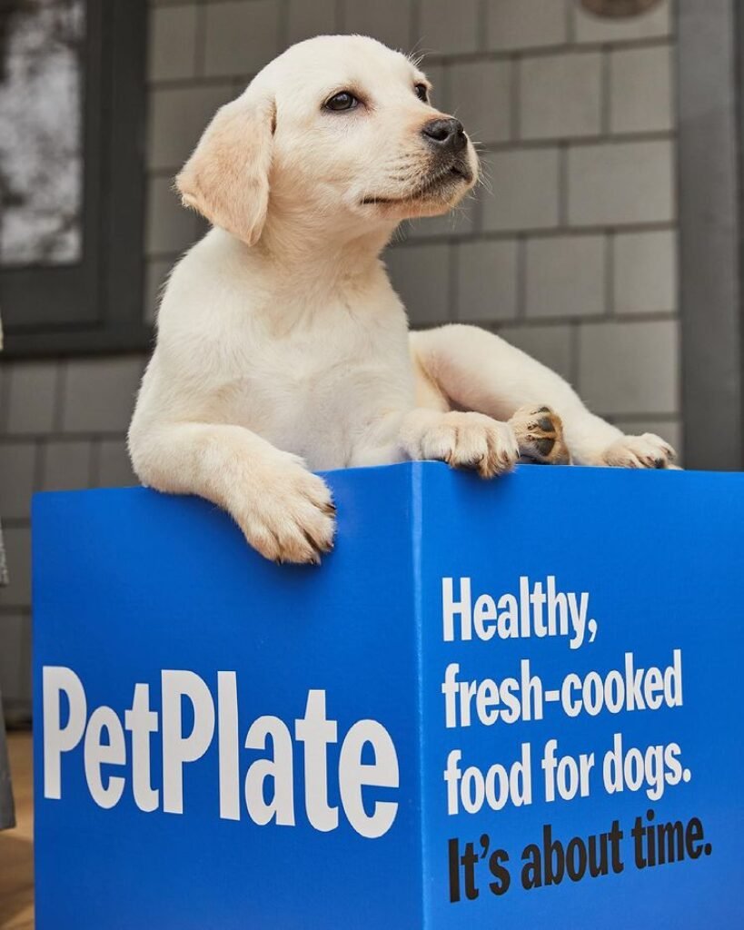 pet plate reviews