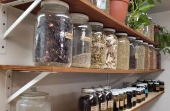 ancient healing teas reviews