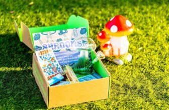 cannabox reviews