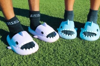 cloudshark slides review