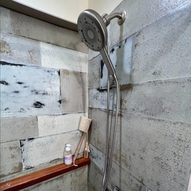 Moen Nebia Review Discover EcoFriendly Shower Solutions