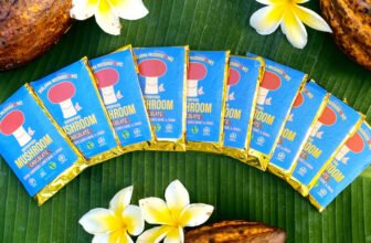 malama mushroom chocolate