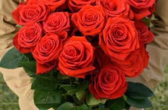 red roses bouquet online order