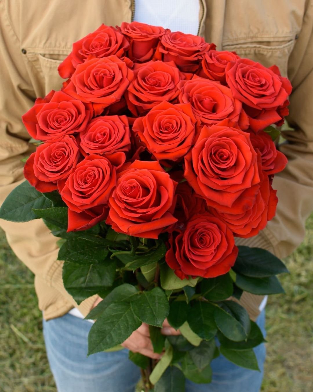 red roses bouquet online order