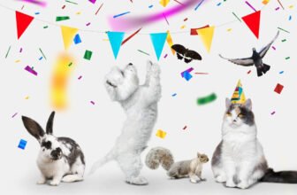 national pet holidays