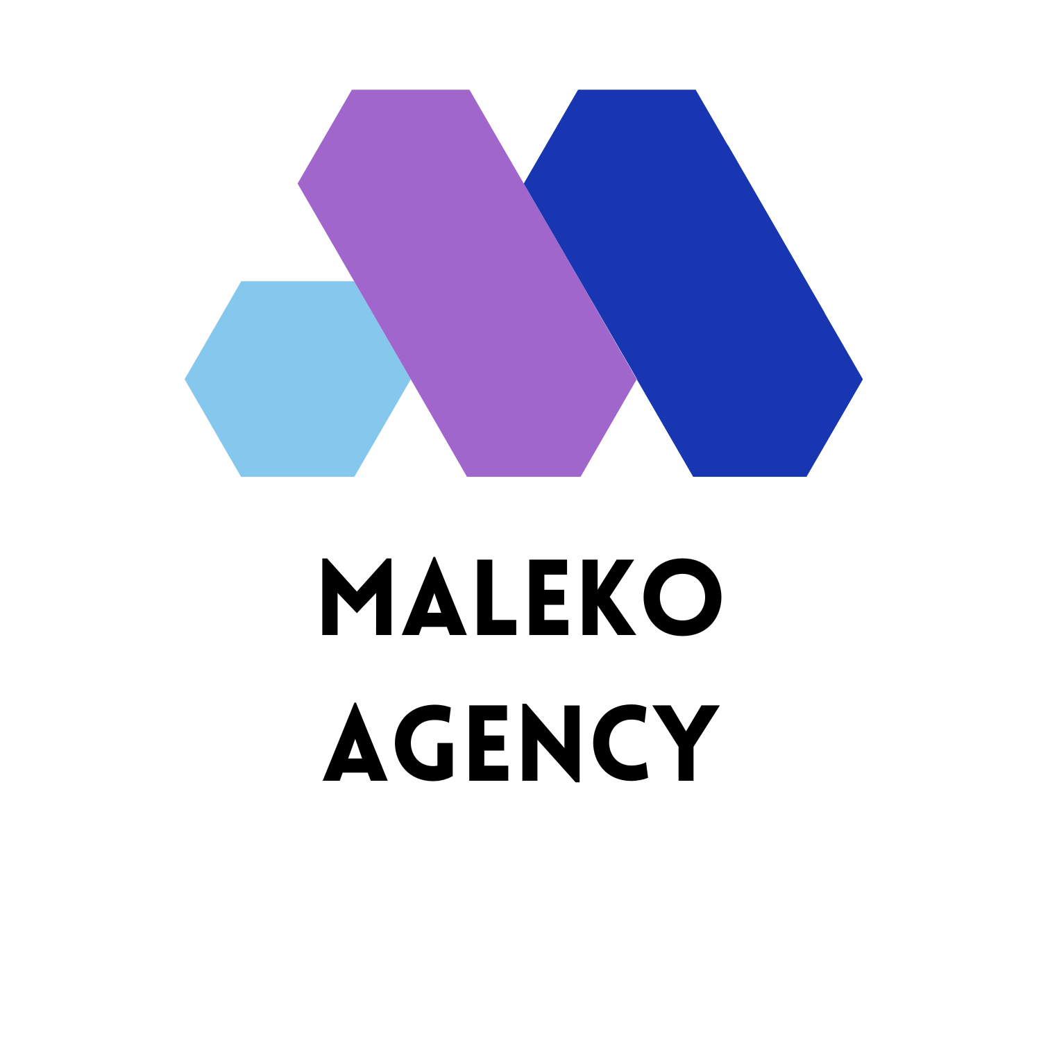 Maleko Agency Promo: Flash Sale 35% Off