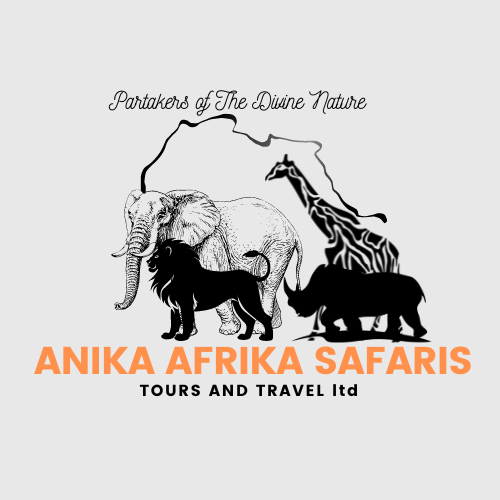 Sign Up And Get Special Offer At ANIKA AFRIKA SAFARIS