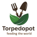 Torpedopot